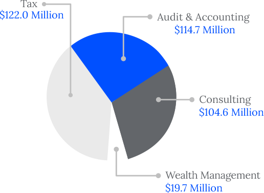 Net revenue by service