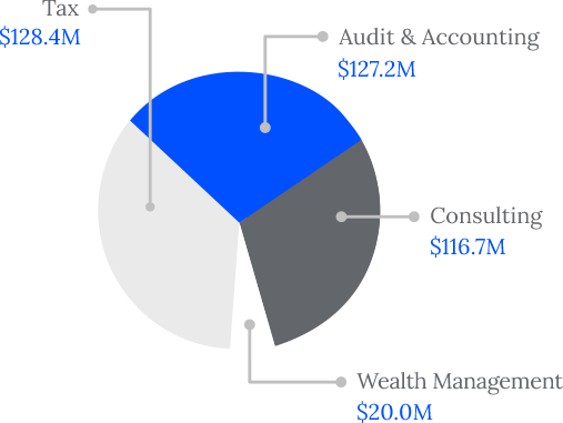 Financial Overview Pie Chart